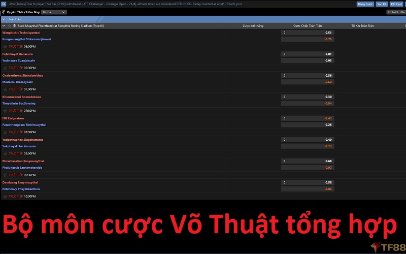 Cá cược Võ Thuật tổng hợp TF88 từ A - Z cho tân binh Bộ môn cược Võ Thuật tổng hợp là gì?