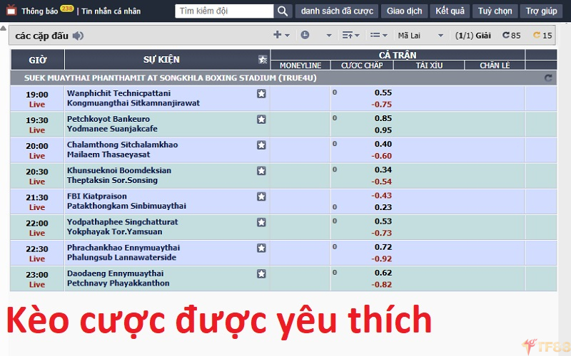 Cá cược Võ Thuật tổng hợp TF88 từ A - Z cho tân binh Kèo cược được yêu thích